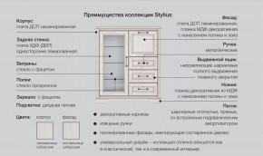 Прихожая модульная Стилиус в Аргаяше - argayash.magazinmebel.ru | фото - изображение 2